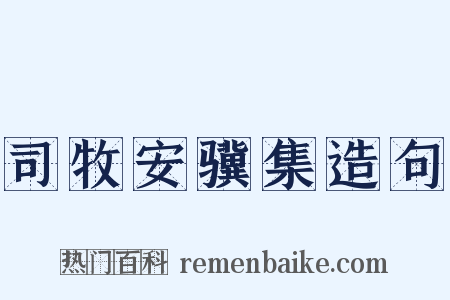 司牧安骥集造句是什么意思的图片